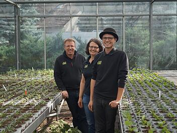 Schwabach: Gärtnerei-Chef "Schwarz" hat die Nase voll von Untergangsstimmung - "nicht jammern" Schwabach: Gärtnerei-Chef "Schwarz" hat die Nase voll von Untergangsstimmung - "nicht jammern"