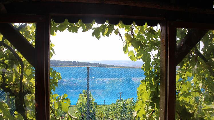 Der Blick aus der Weinlaube: Ein Traum.