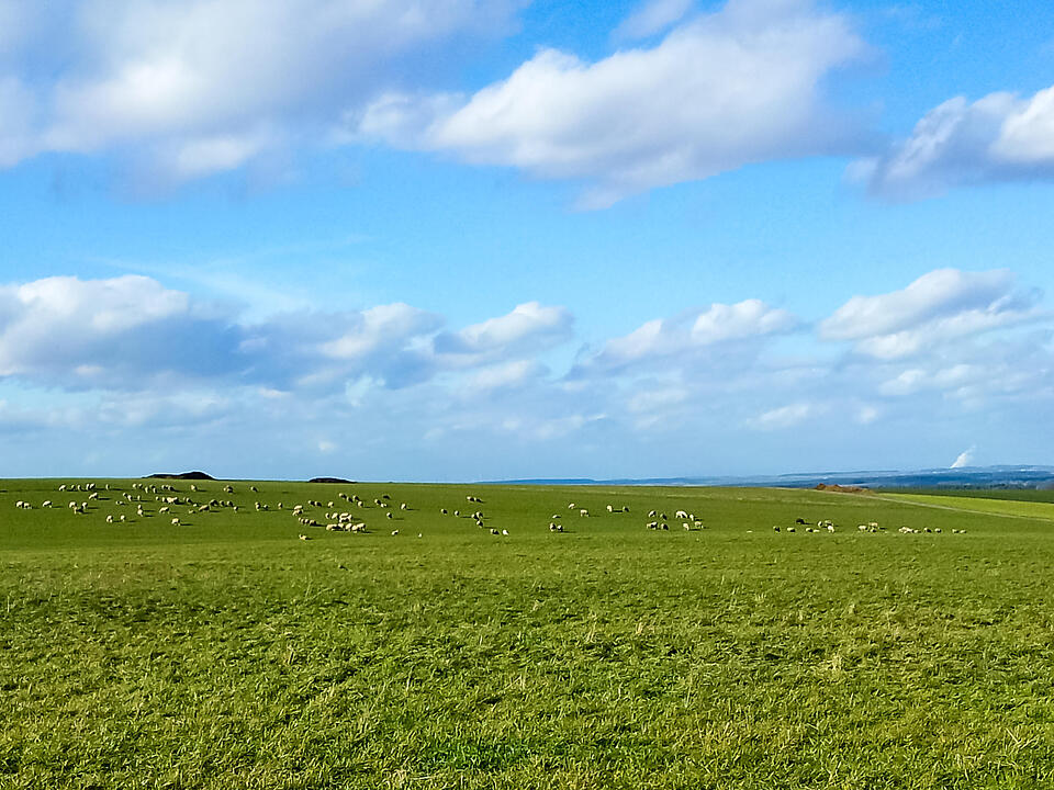 Fotos Konrad Thomann