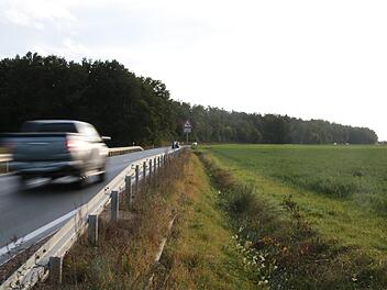 Auf der Staatsstraße zwischen Hallerndorf und Willersdorf hat die Polizei im vergangenen Jahr 13 gemeldete Wildunfälle verzeichnet.  Foto: Mirjam Stumpf
