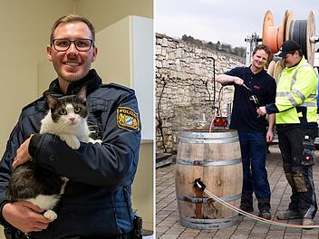 Neuer Esel-Elefant, Wein-Pipeline und Polizei-Katzen: Beste Aprilscherze in Franken