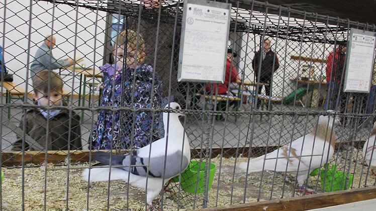 Jan und Maya bestaunen diese Tauben. Foto: Ralf Kestel