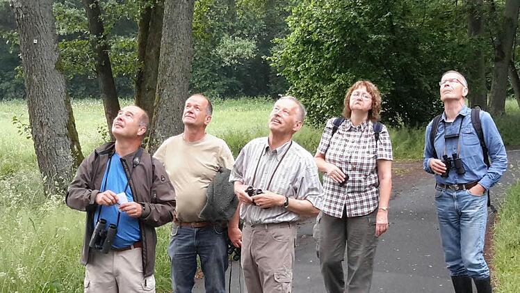 Blick nach oben: Karl Schwarz (von links), Robert Hildmann, Oswald Türbl, Gabi Schneider und Franz Zang bei einer Exkursion durchs Sinntal. Foto: Rolf Pralle