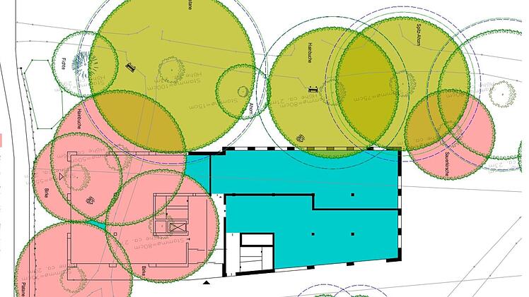 Acht Bäume sind vom Bau des neuen Ärztehauses im Georgi-Kurpark betroffen. Vier der rot eingefärbten werden gefällt, ein Baum soll versetzt werden. Die grün markierten Bäume möchten die Planer mit Hilfe von Experten erhalten. Grafik: Designplus Planungsgesellschaft mbH