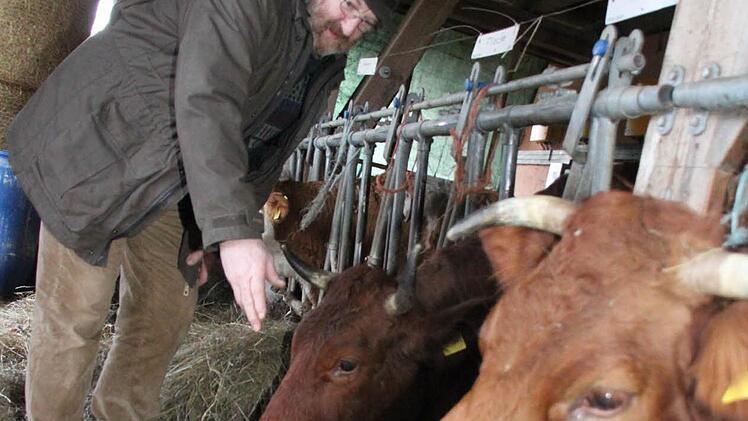 Bei Bio-Landwirt Alwin Schneider stehen insgesamt 15 Kühe im Stall. Foto: Jürgen Gärtner