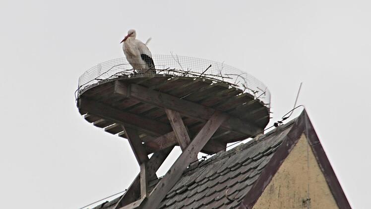 Der Entschluss scheint noch nicht gefallen, ob sich Störche auf dem Dach in der Bahnhofstraße in Pfarrweisach nieder lassen wollen. Umgeschaut haben sie sich dort schon mehrmals, letztmals am Montag