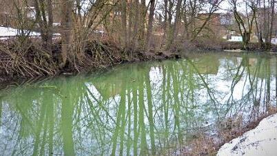 Der Dorfteich von Sessenreuth könnte eine Sanierungsmaßnahme im Rahmen einer einfachen Dorferneuerung sein. Foto: Werner Reißaus