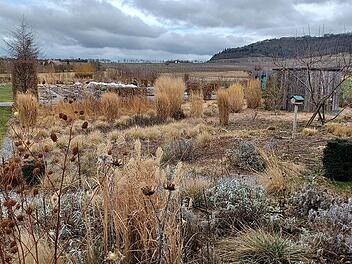G&auml;rtnermeister Till Hofmann referiert zu trockenvertr&auml;glichen Staudenpflanzungen.