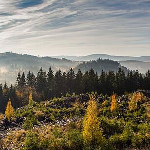 Die schönsten Fotos im November aus Kronach und Umgebung