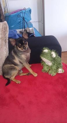 Foto: Sylvia Halla Dwaratzek