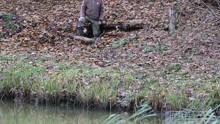 So weit gräbt der Biber: Selbst etliche Meter vom Teich entfernt ist die Unfallgefahr durch einstürzende Höhlen groß. Fotos: Ralf Ruppert