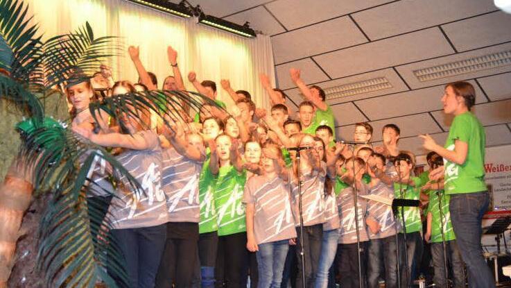 Adonia präsentierte das Musical "Johannes der Täufer" in der Zecherhalle in Neukenroth mit großem Erfolg. Der Chor mit seinen Herz erfrischenden Liedern trug wesentlich dazu bei. Foto: Karl-Heinz Hofmann