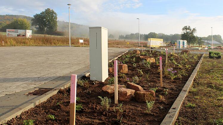 Obwohl das Baugebiet "Am Salzforst" in Steinach erst in diesem Jahr fertiggestellt wurde, sind bereits alle 23 Baugrundstücke reserviert. Unser Archivbild zeigt das "Pflanzkonzept "Silbersommer" im Neubaugebiet. Foto: Archiv/Stefanie Tapprogge