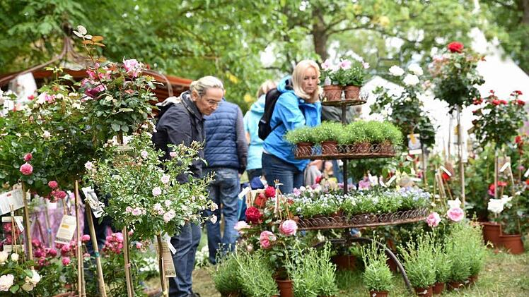 Die Rosen standen im Blickpunkt der Rosen- und Gartenmesse, die am Wochenende in Königsberg stattfand.  Fotos: Gerold Snater