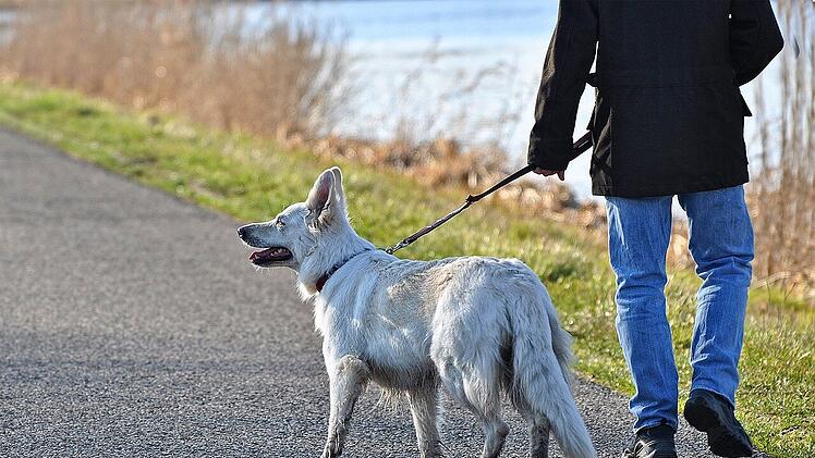 Bayreuth: Hundebesitzer wird mit Messer beworfen