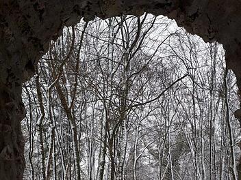 Die Schneeauflage, hier bei der Wallerwarte  nahe  Ebermannstadt, ist zu gering fürs Skifahren. Foto: Ruppert/Archiv