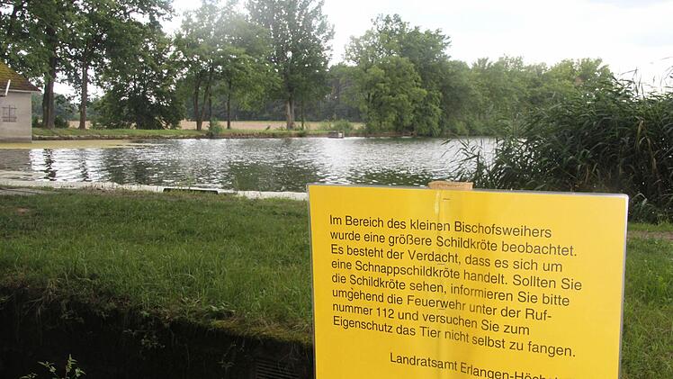Die Touristenjäger suchen an falscher Stelle. Die richtige Stelle ist nicht der Badeweiher, sondern ein benachbarter kleinerer Weiher.  Foto: Busch
