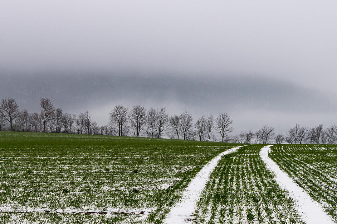 Fotos Konrad Thomann