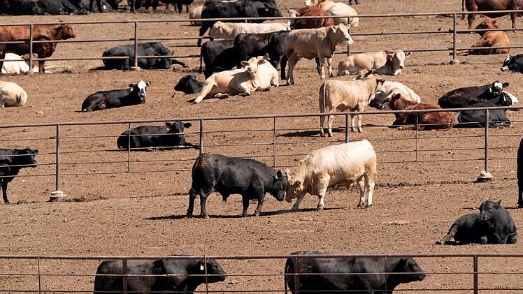 Ernährungsweise trägt weiterhin stark zur Klimakrise bei