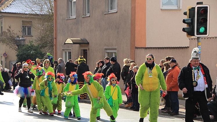 Der Faschingszug durch Höchstadt  - Foto: Andreas Dorsch