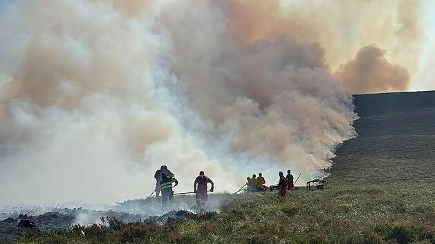 Fl&auml;chenbrand in Nationalpark in Schottland