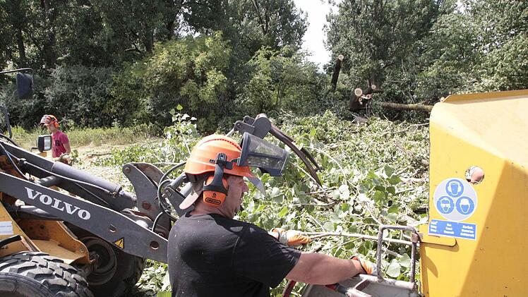 Foto: Josef Hofbauer