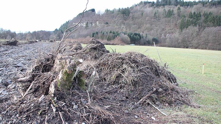 Foto: Friedwald Schedel
