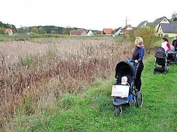 Die Weiherkette vor Nackendorf (im Hintergrund) bekommt seit Jahren immer weniger Wasser. Ihr Zufluss Birkach versiegt.  Foto: Andreas Dorsch