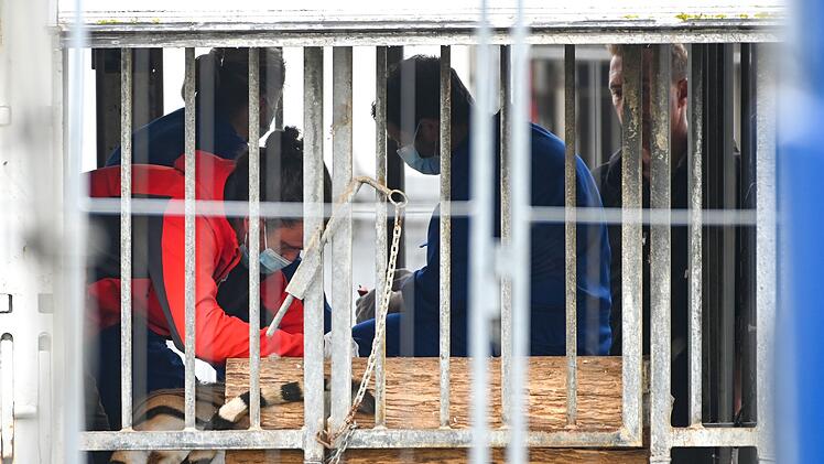 Polizei und Veterin&auml;ramt im Einsatz bei Tigerhalterin