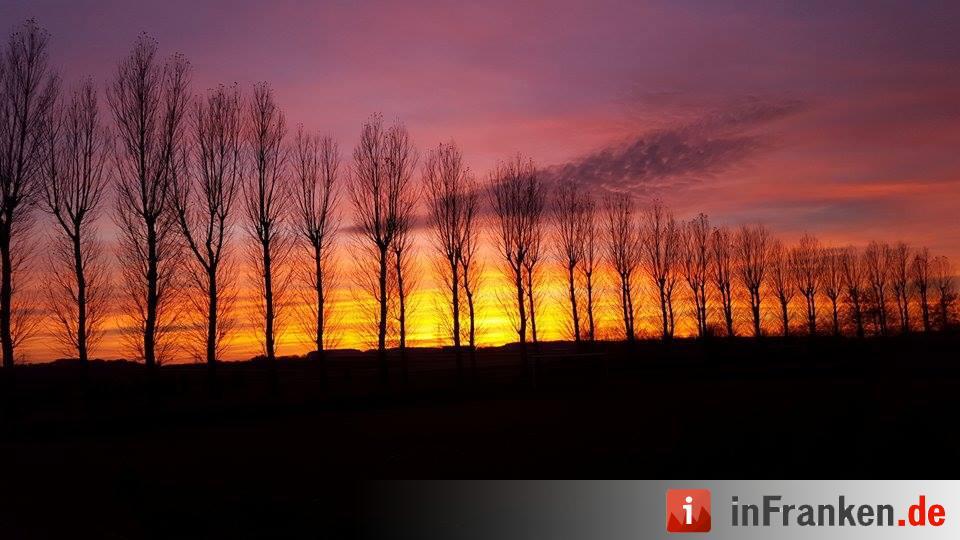 Abendrot vom 8.11.2015 - Die Bilder unserer Leser