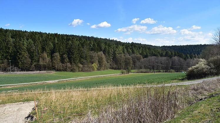 Blick vom neuen Radweg auf das Teilst&uuml;ck in Form eines &ouml;ffentlichen Feld- und Waldwegs.  Foto: Uschi Prawitz