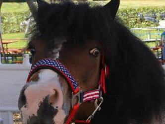 Symbolfoto: Barbara Herbst