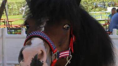 Symbolfoto: Barbara Herbst