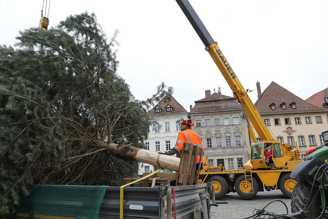 Christbaum kommt aus Schlaifhausen  auf den Forchheimer Rathausplatz