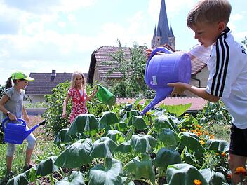 Für die Kinder der Mittagsbetreuung wurde im Caritas-Garten ein Hochbeet angelegt. Bei den Temperaturen muss täglich viel gegossen werden. Jutta Rudel