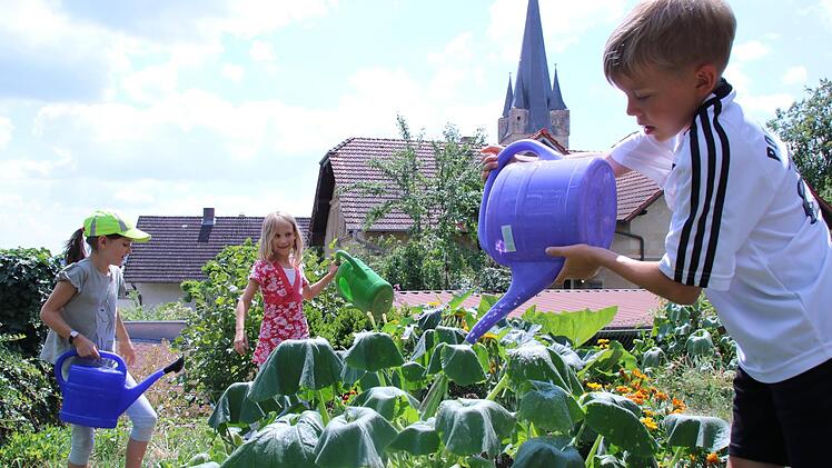 Für die Kinder der Mittagsbetreuung wurde im Caritas-Garten ein Hochbeet angelegt. Bei den Temperaturen muss täglich viel gegossen werden. Jutta Rudel