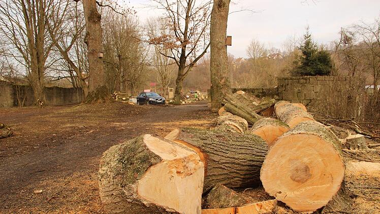 Umfangreich waren die Holzarbeiten im Jörgentorpark.Heike Beudert