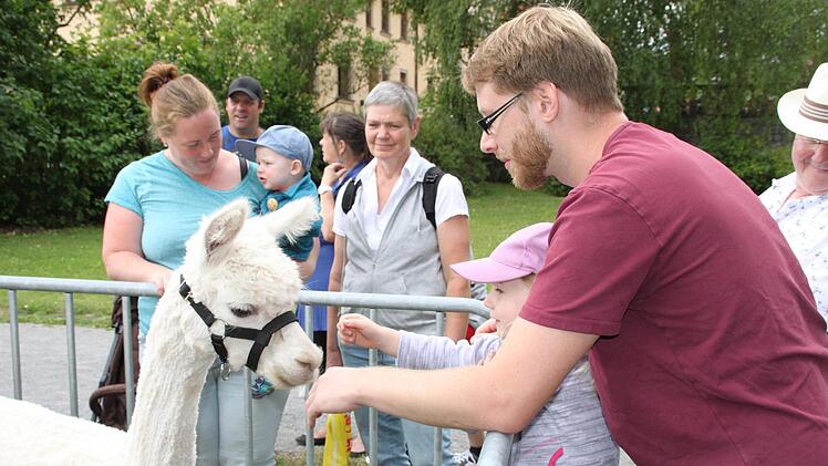 Das ist eine besondere Liebe: Kinder und Alpakas. Foto: Isolde Krapf