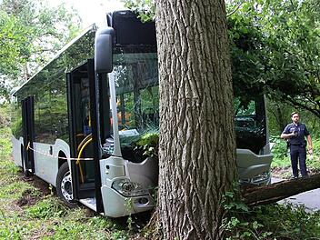 Frontal krachte dieser Bus beim Sicherheitstraining gegen einen Baum. Drei Insassen wurden schwer verletzt.  Fotos: Josef Hofbauer
