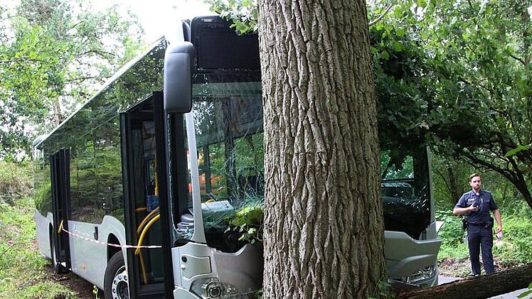 Frontal krachte dieser Bus beim Sicherheitstraining gegen einen Baum. Drei Insassen wurden schwer verletzt.  Fotos: Josef Hofbauer