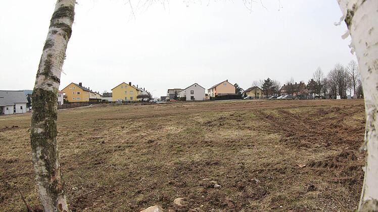 Durch die beiden Birken hindurch verläuft die Straßenflucht der Sonnleite.