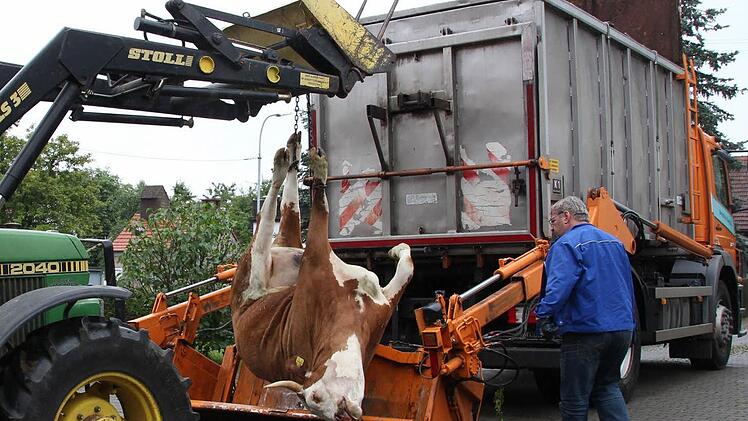 Wenn auf einem Bauernhof im Landkreis Bad Kissingen ein Tier verendet, rücken seit Jahresbeginn die eigenen Fahrzeuge des Zweckverbandes Tierkörperverwertung Unterfranken an. Foto: Archiv/Carmen Schmitt