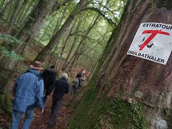 Ein rotes T weist den Wanderern den Weg durch den Wald. Foto: Archiv/Arkadius Guzy