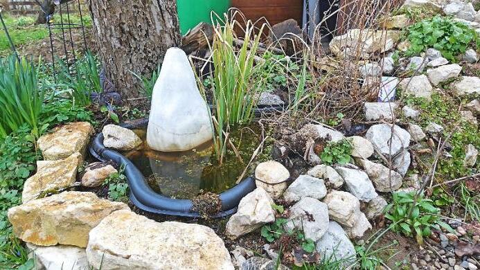 Steinmauern, bestenfalls in sonniger Lage, und kleine Wasserstellen bieten im Garten optimale Lebensräume für Amphibien.
