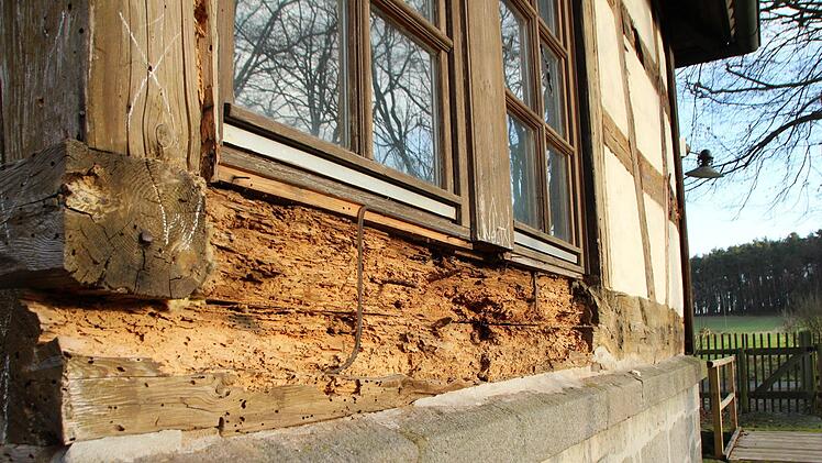 Die Balken der alten Sägemühle sind vom Holzwurm zerfressen.  Foto: Andreas Dorsch