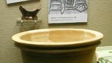 Im Grabungsmuseum sind unter anderem Keramikstücke zu sehen, die bei Grabungen im Kirchhof gefunden wurden. Foto: CT-Archiv