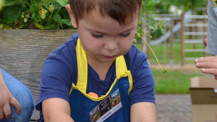 Gärtnern im Kindergarten Premich. Foto: Kathrin Kupka-Hahn