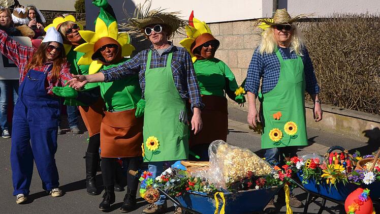 Faschingsumzug des Premicher Vereinsrings. Foto: Peter Rauch