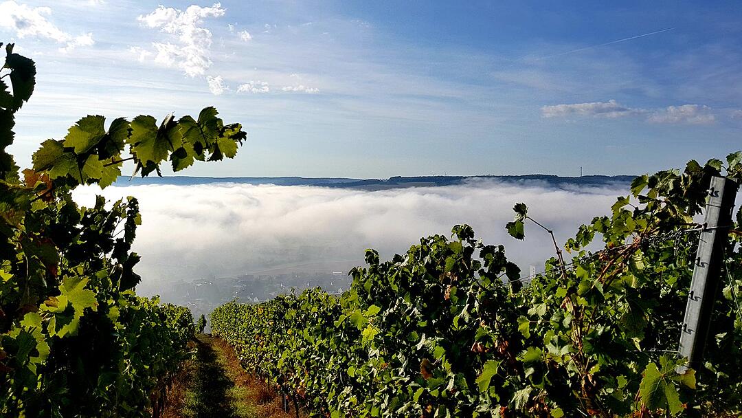 Die schönsten Fotos im September aus Bad Kissingen und Umgebung