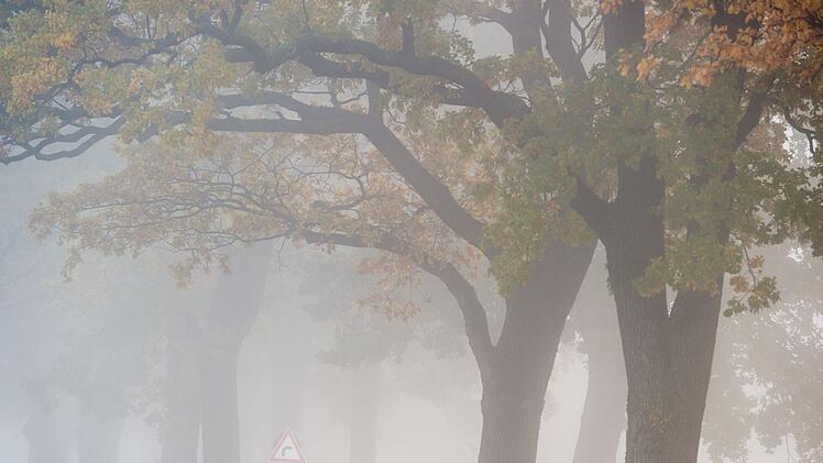 Auto fährt bei Nebel auf einer Landstraße